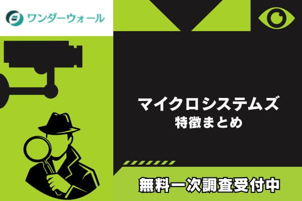 マイクロシステムズ｜特徴まとめ